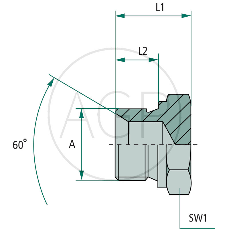 EV 1/2 M-BSP