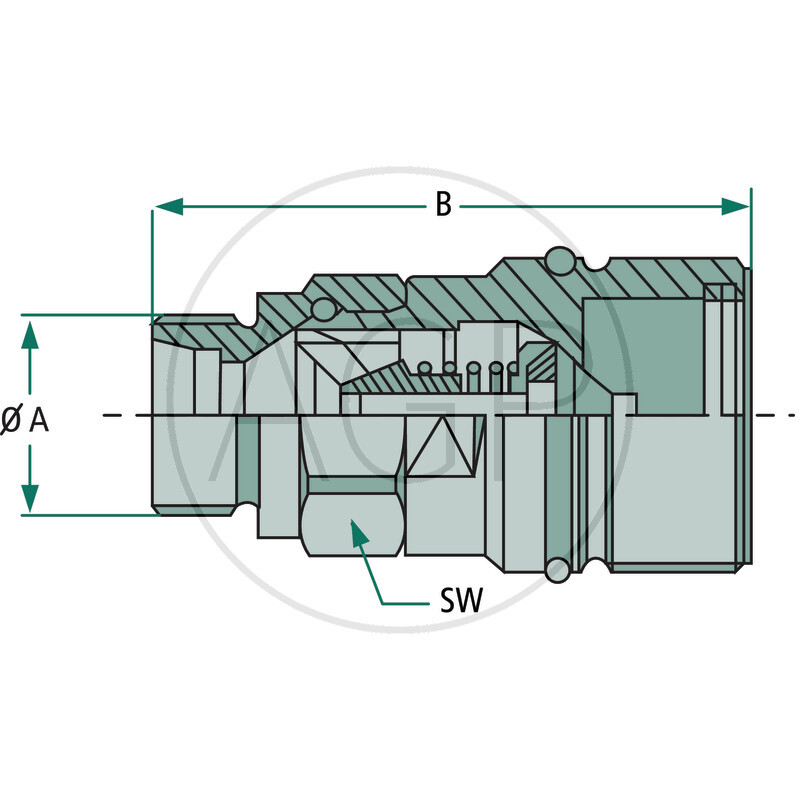 CVV 06 38 GAS F
