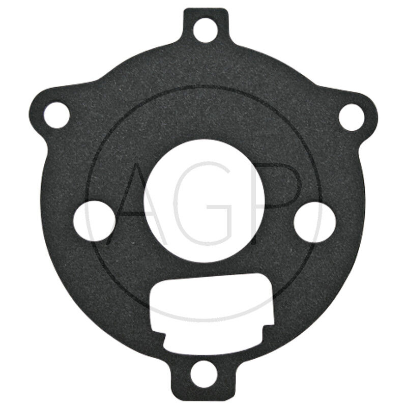 Těsnění pro Briggs a Stratton