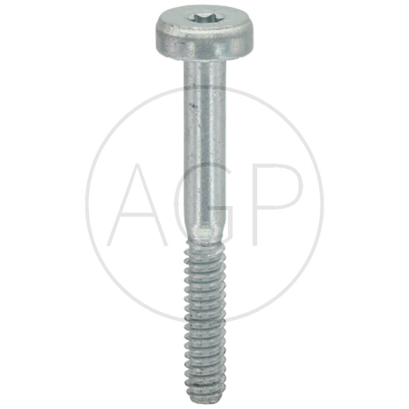 Šroub pro Stihl, 6 x 52, na typy 029, 039, MS290, MS310, MS390