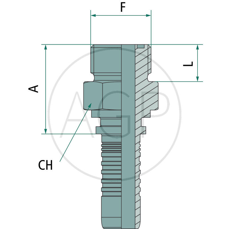 PN 08 AGORF 11/16