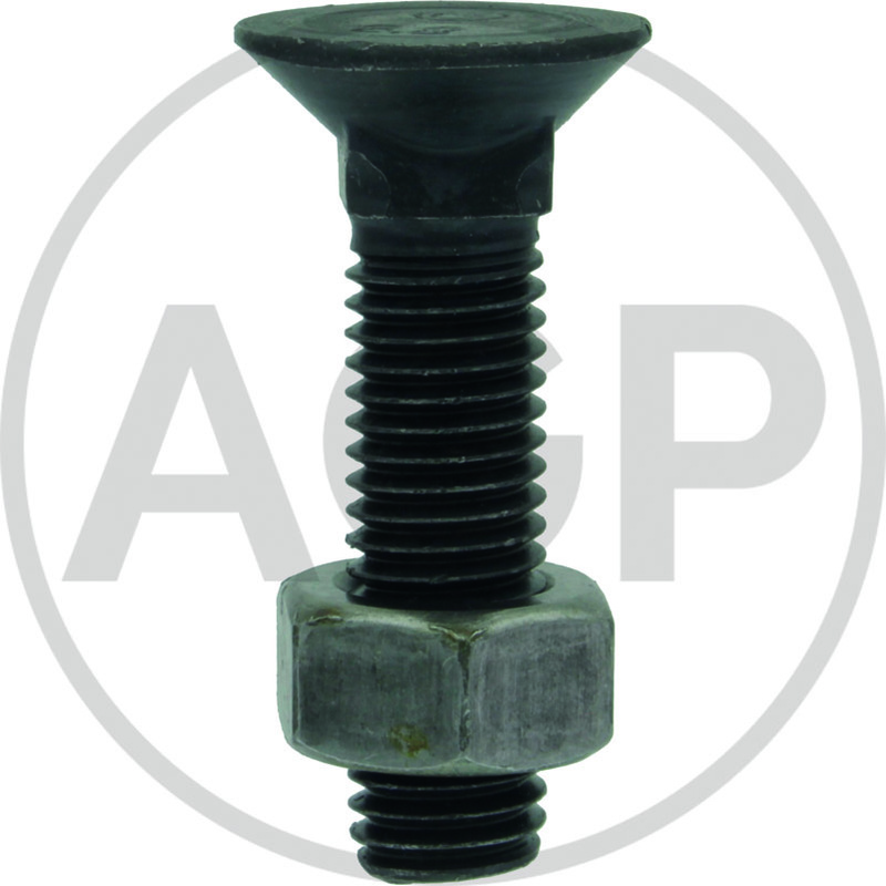 Šroub pluhu s maticí M12 x 45, DIN 608, 12.9