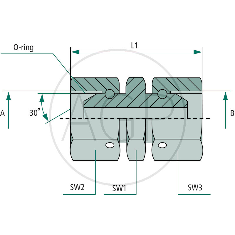 GA 1/2 FS-BSP x 1/2 FS-BSP VPE25
