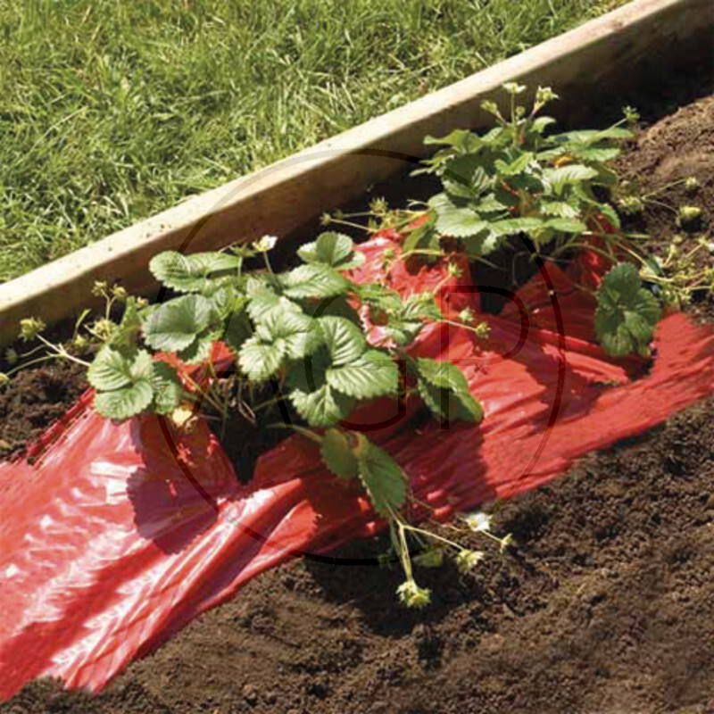 Mulčovací folie proti růstu plevele o rozměru 1,2 x 10 m 