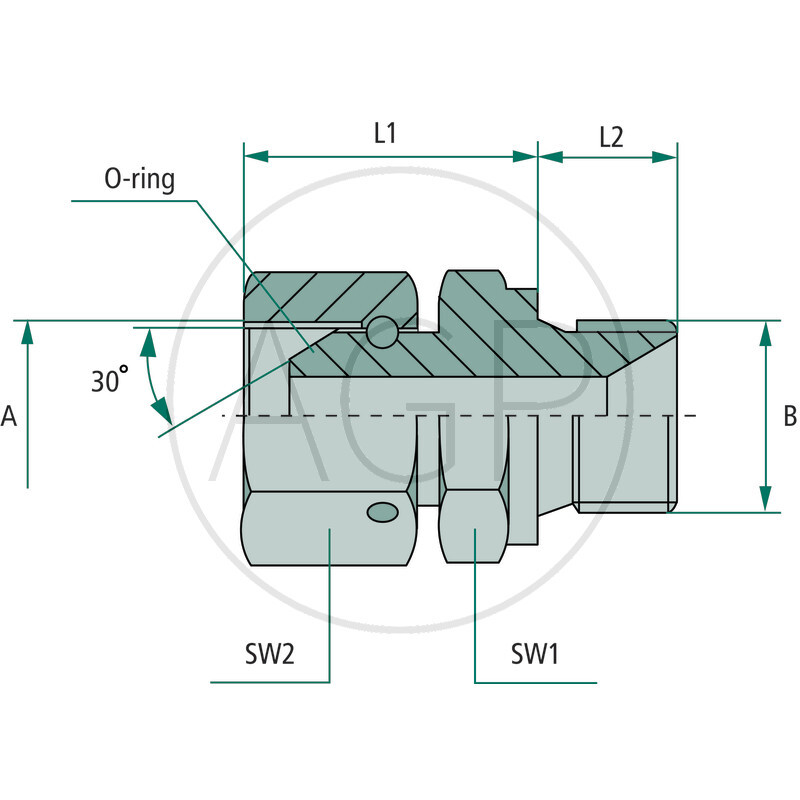 GA 5/8 FS-BSP x 5/8 M-BSP WD