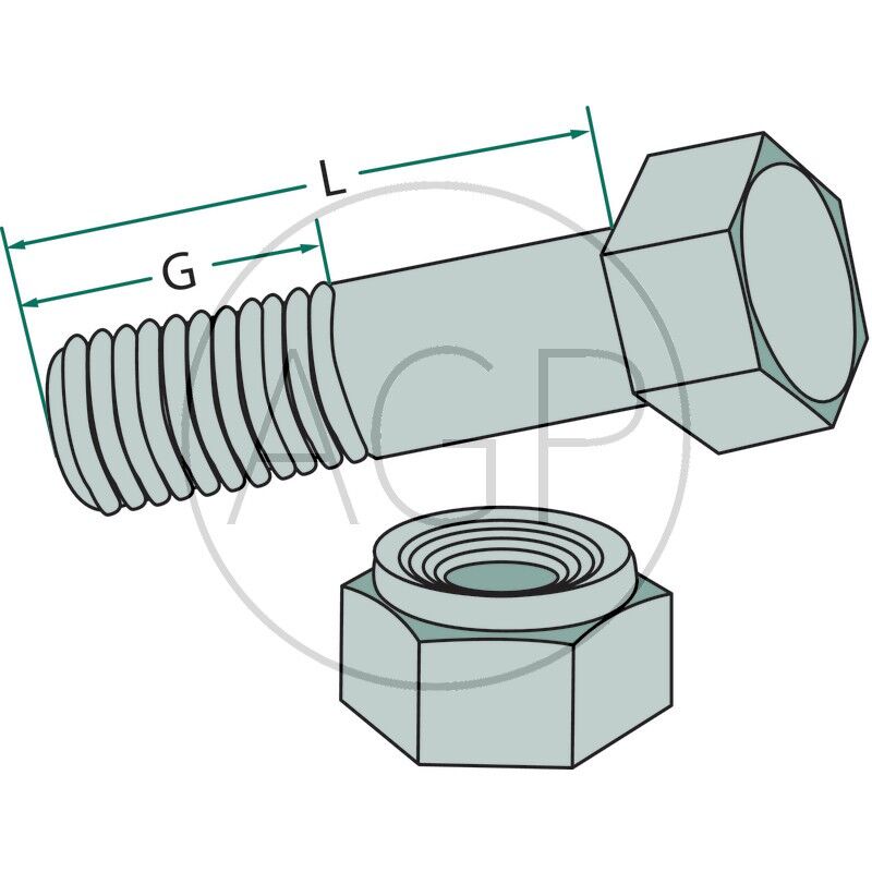 Šroub s maticí M12 x 1,25 x 45 mm na hřeby rotačních bran Breviglieri, Regent, Schmotzer