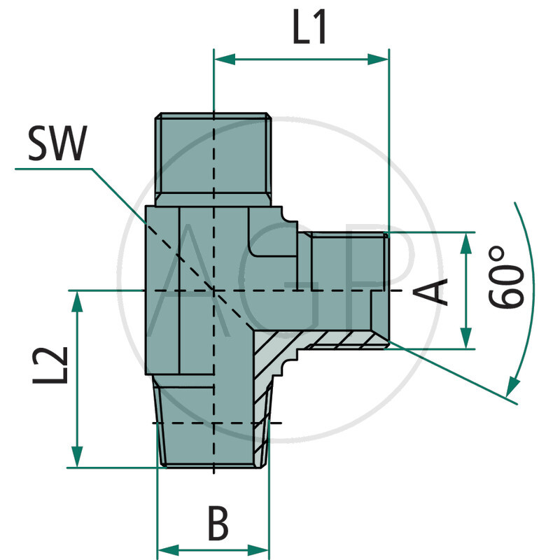 LA 1/4 M-BSP x 1/4 M-NPT