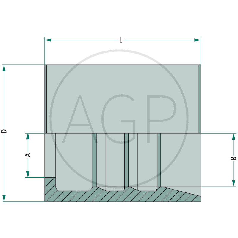 PFN DN 6 - 1/4 2 SN VA