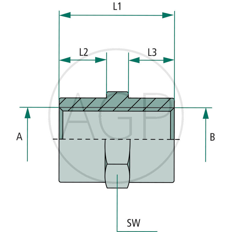 GA 3/8 F-BSP x 3/8 F-BSP VPE25