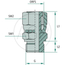 GA 13/16 M-ORFS x 3/8 FS-BSP