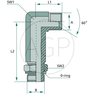 WAXL 1/4 M-BSP x 1/8 M-BSP