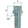 PN 25 AGNPT 1.1/4 DS