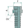 PN 16 AGORF 1 DS
