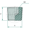 EV 3/4 M-NPT