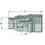 CVV242/452 F V
