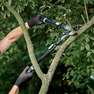 Teleskopické bypassové nůžky o délce 645 - 900 mm na stříhání větví o průměru do 50 mm